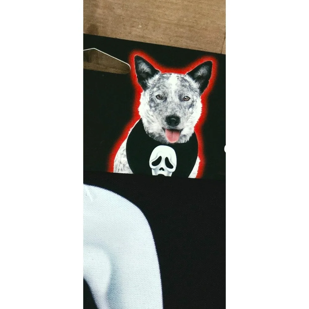 Fun World Ghost Face Bandana Pet L/XL Black New Halloween Scream Costume 98124K